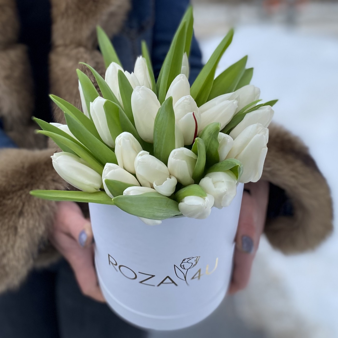 25 белых тюльпанов в коробке