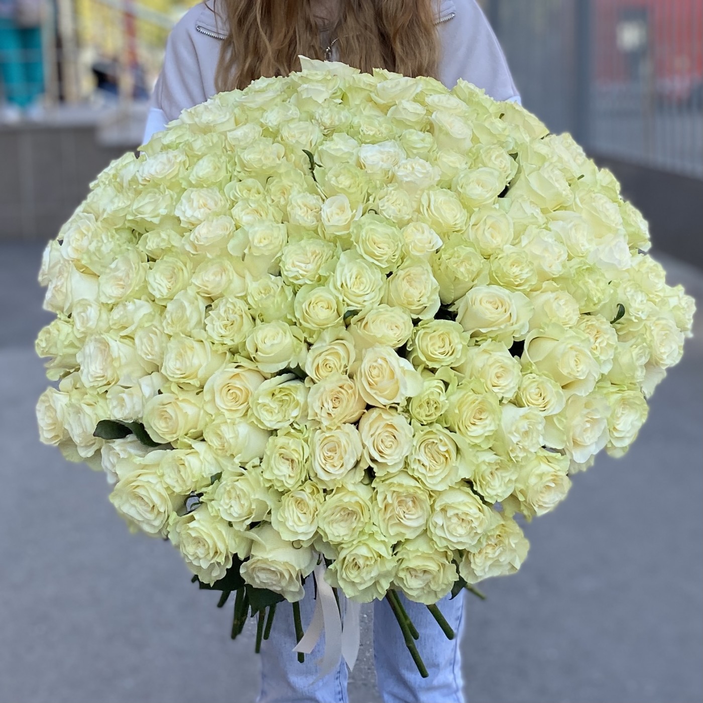 151 роза Мондиаль 60 см
