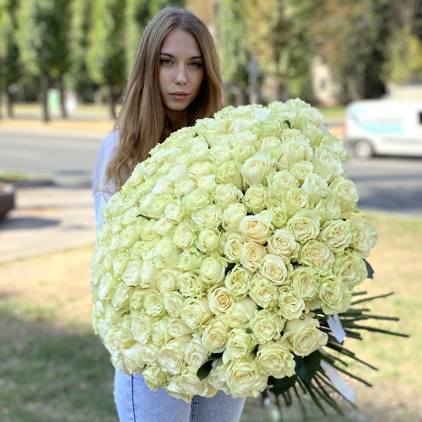 151 роза Мондиаль 60 см