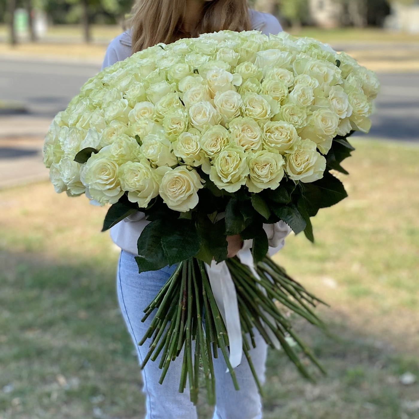 151 роза Мондиаль 60 см