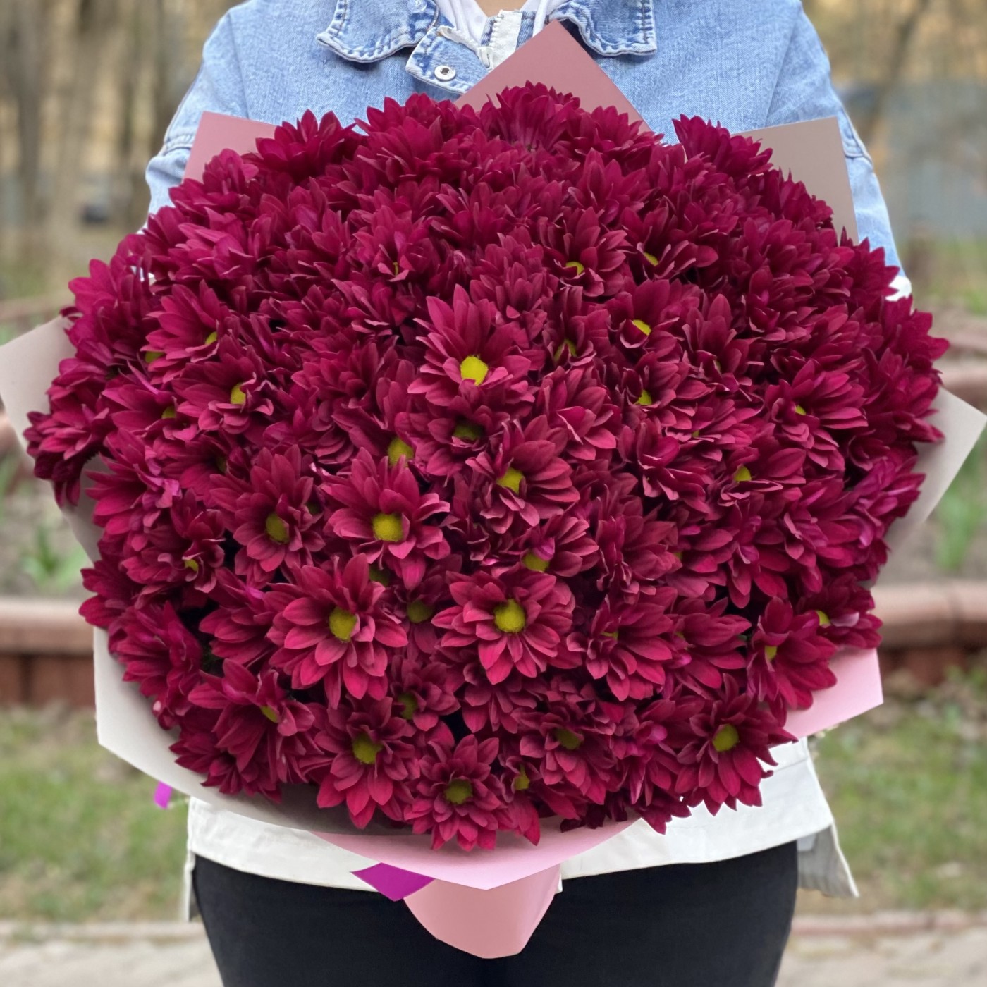 15 фиолетовых кустовых хризантем Бакарди