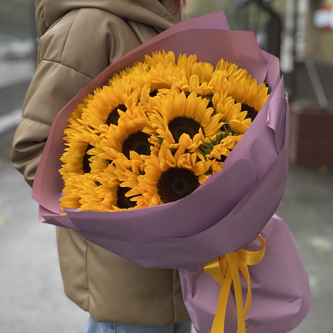 15 подсолнухов