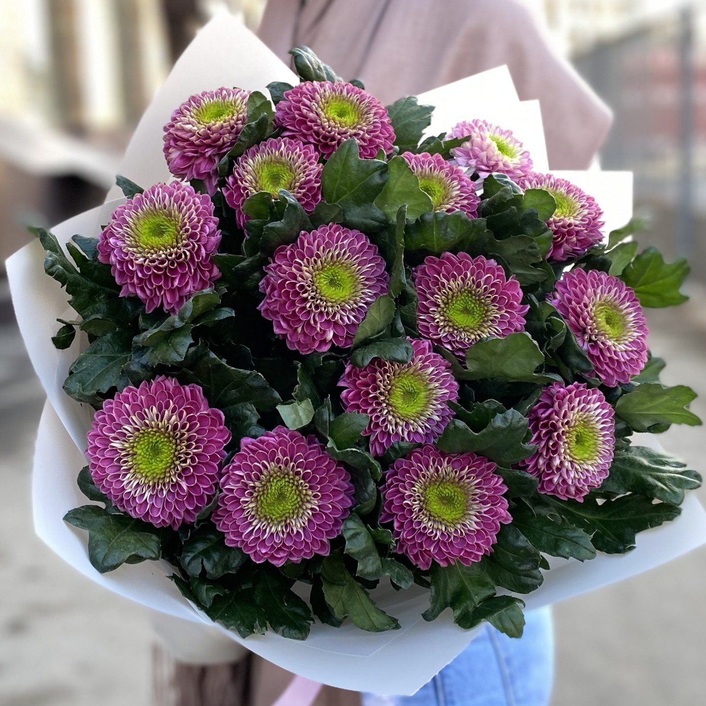 15 темно-розовых хризантем Сувенир