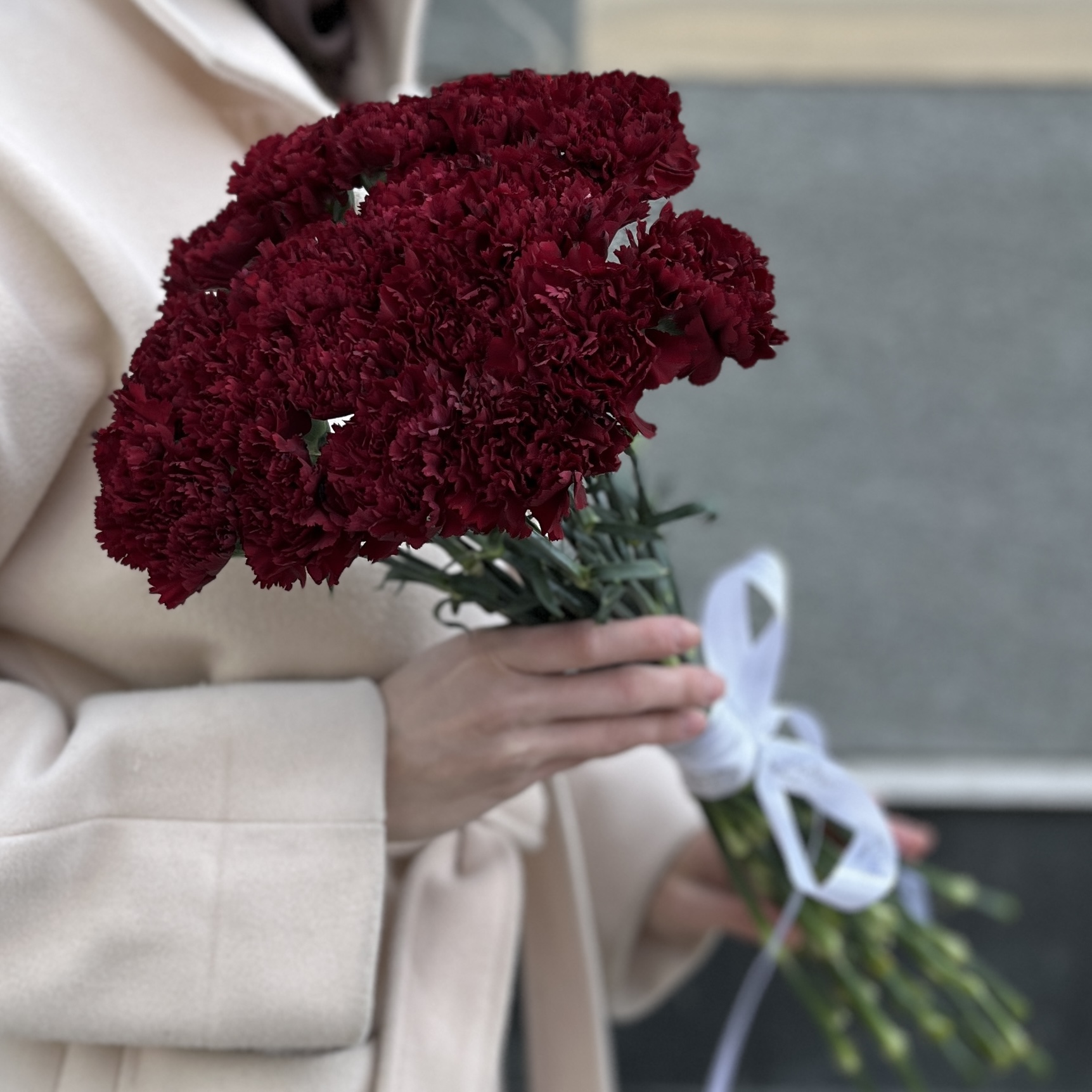 20 бордовых гвоздик