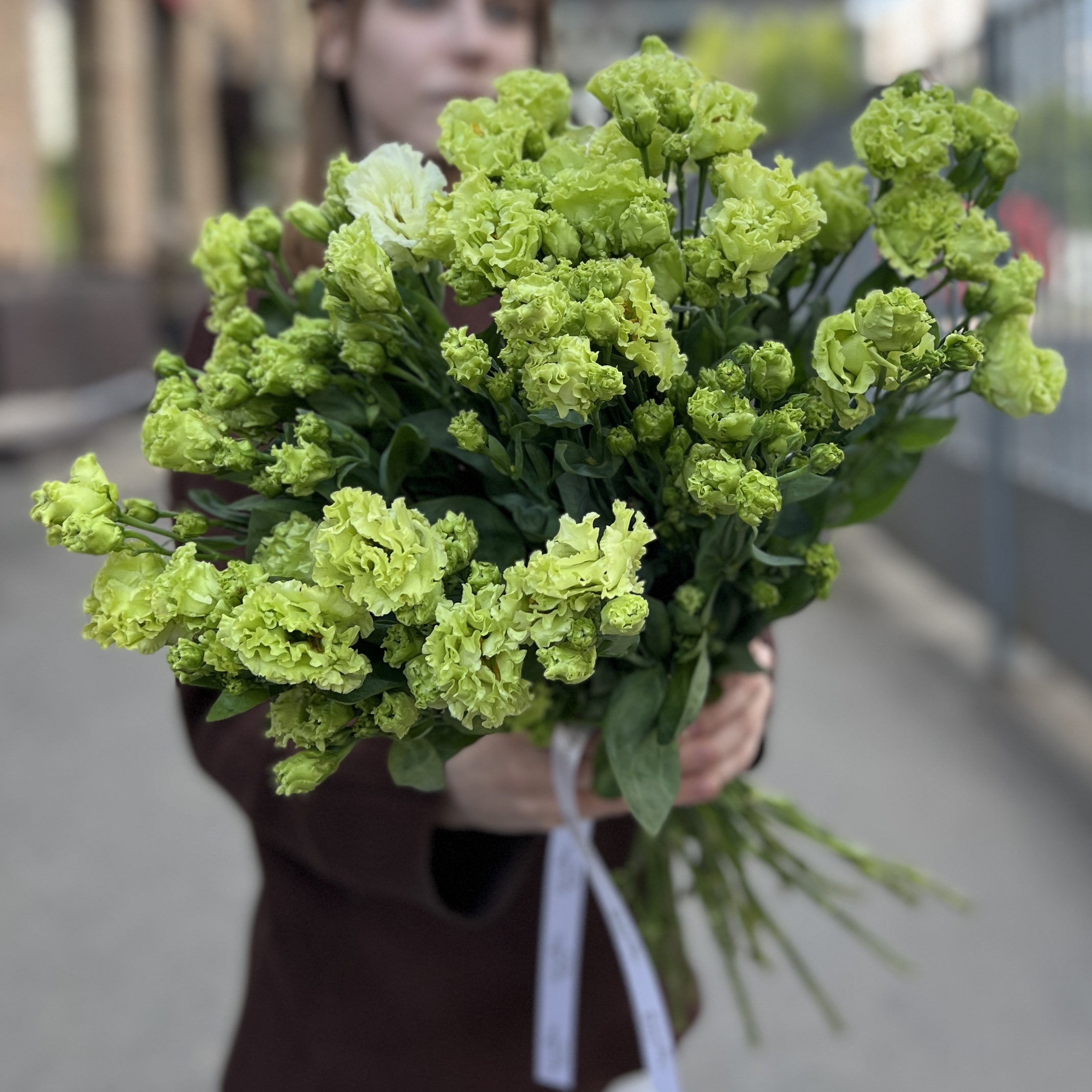 Эустома махровая зеленая