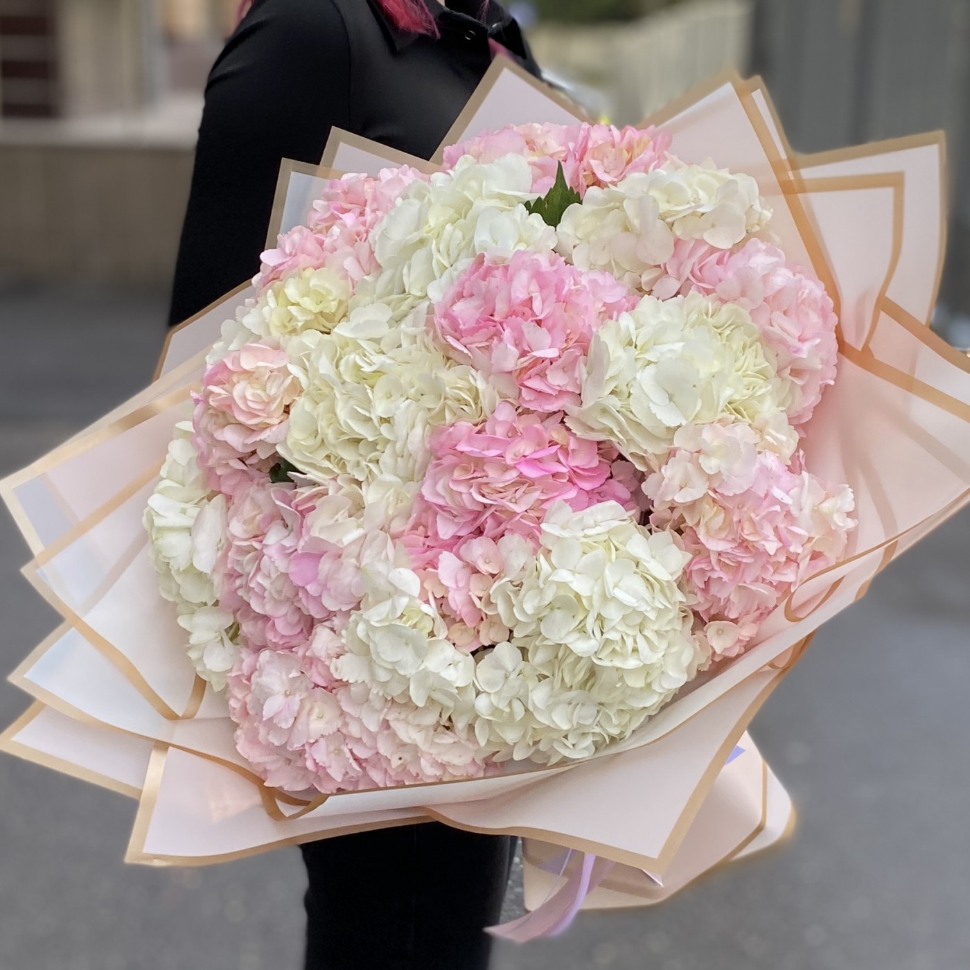 17 розовых и белых гортензий