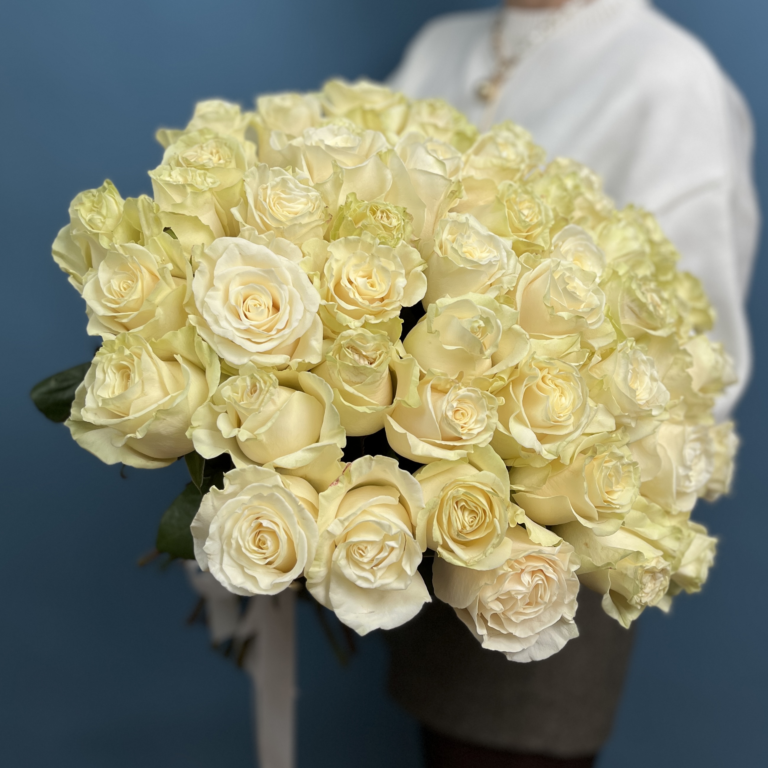 51 роза мондиаль 50 см