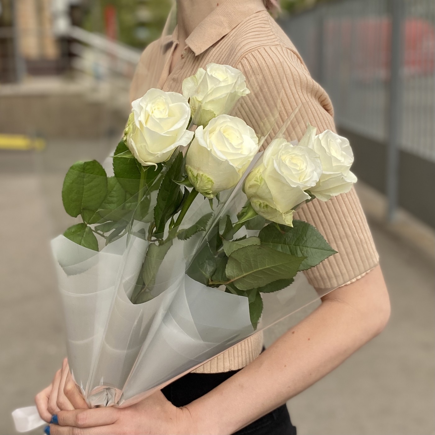 1 белая роза 60 см