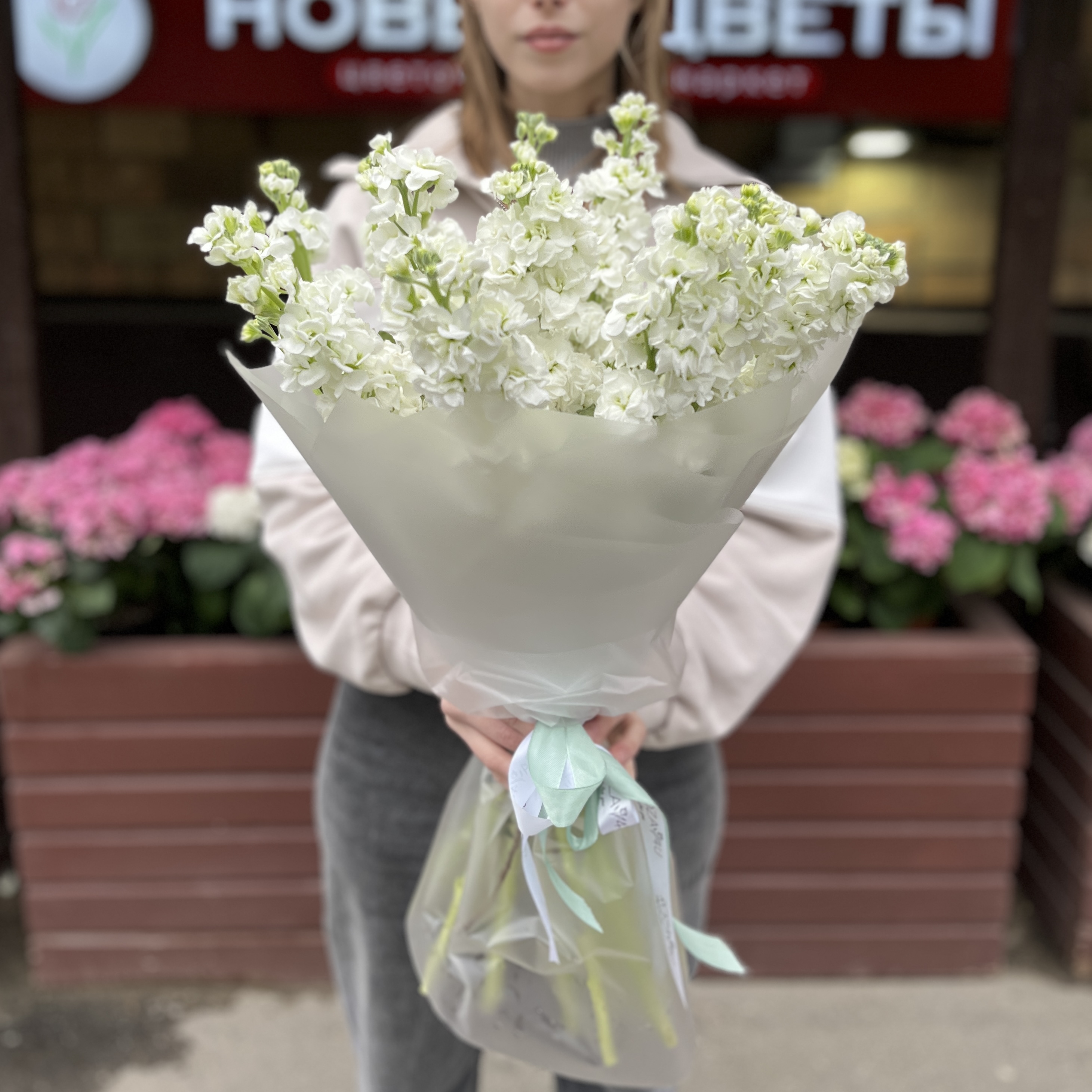 11 ароматных белых Маттиол