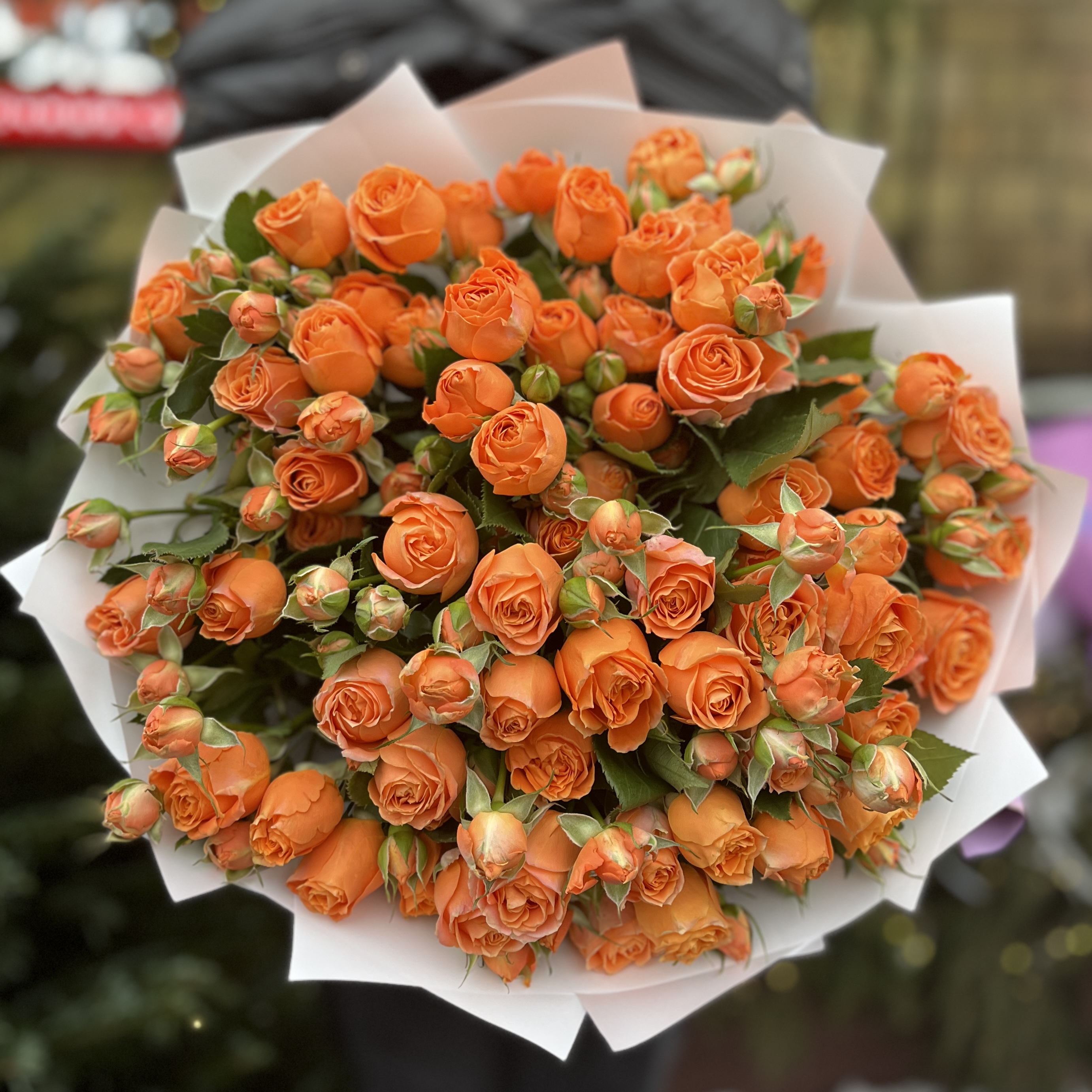 15 кустовых оранжевых роз Коралл Бабл