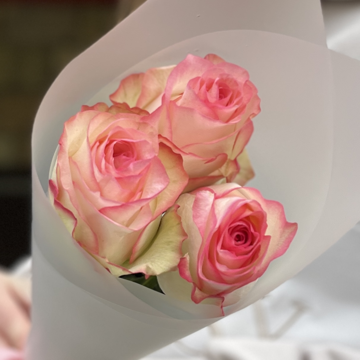 3 нежные розы Джумилия 50 см