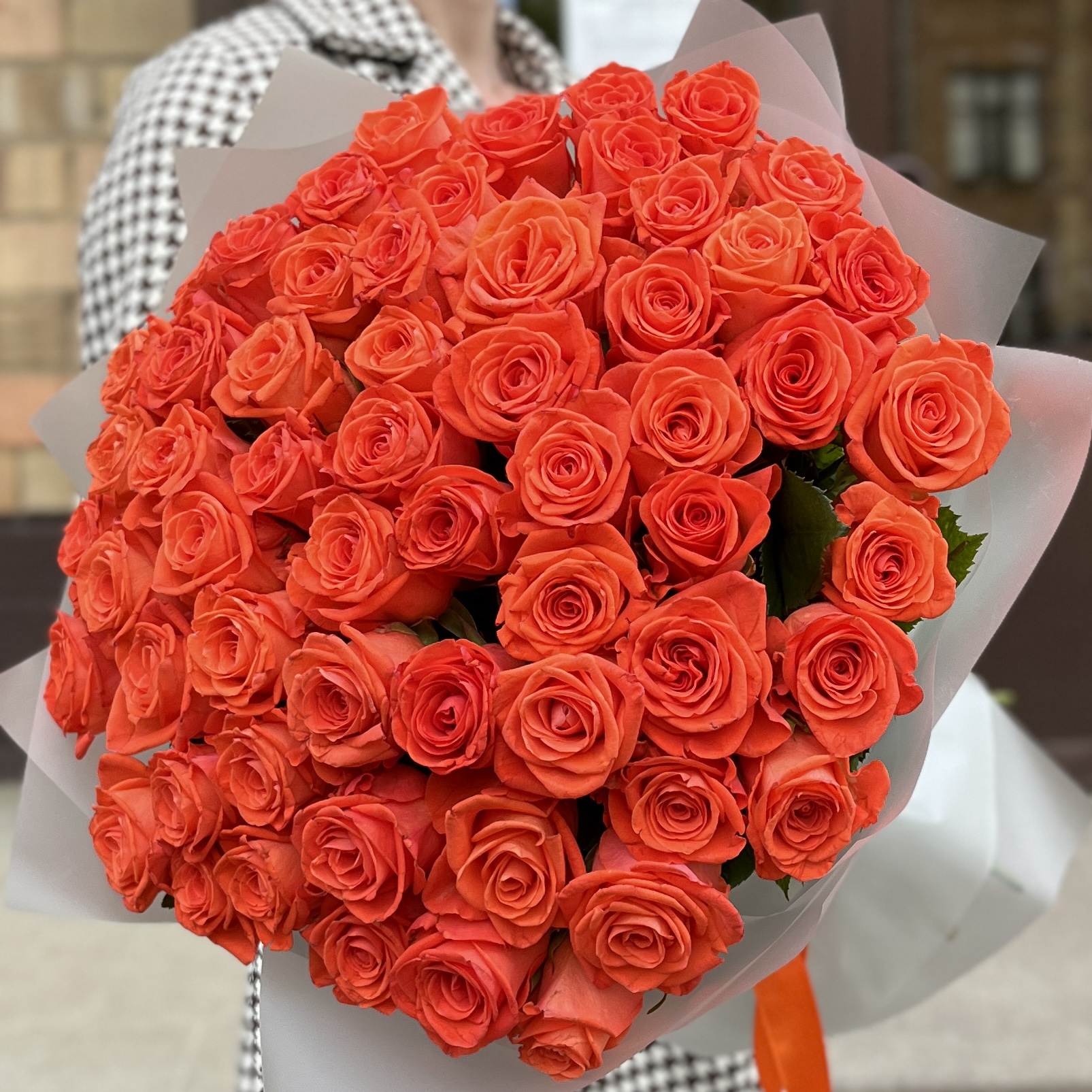 51 оранжевая роза Вау 60 см