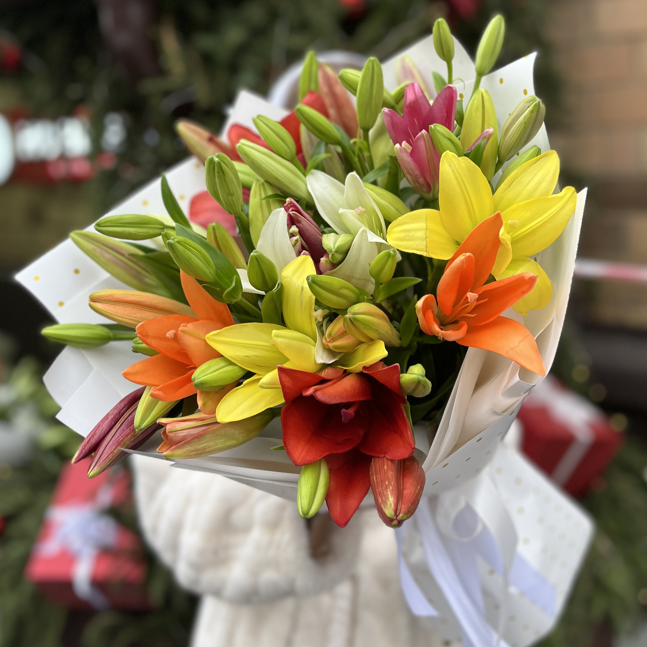 Микс из 11 Азиатских лилий