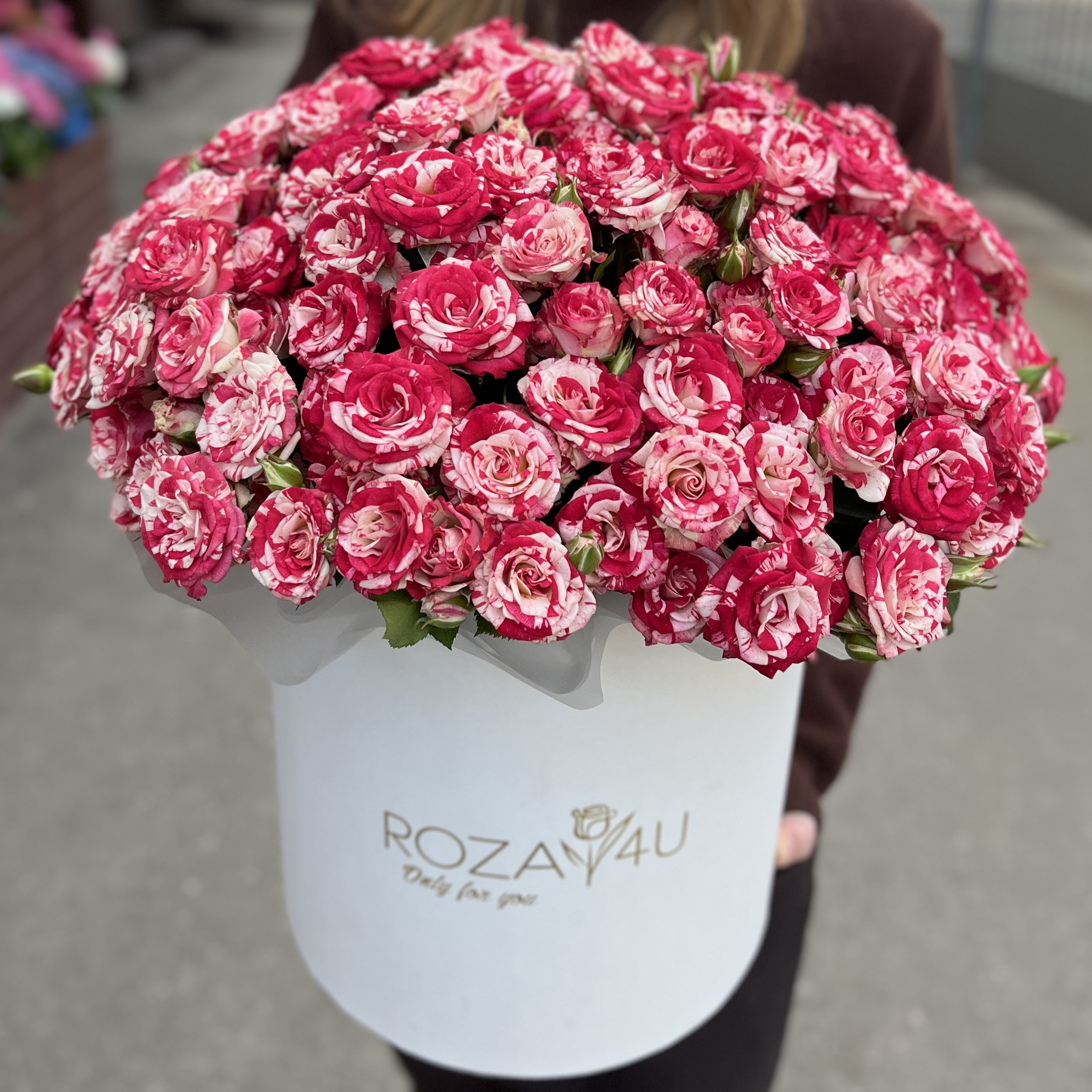 25 кустовых роз Файрворкс в коробке