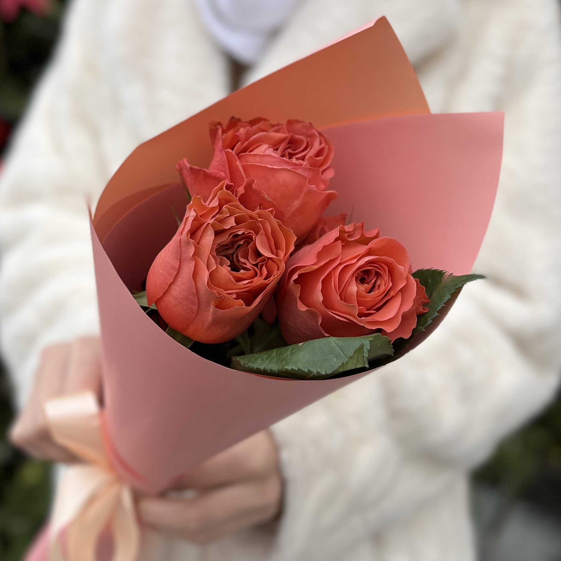 3 розы  Корал Экспрешен 50см