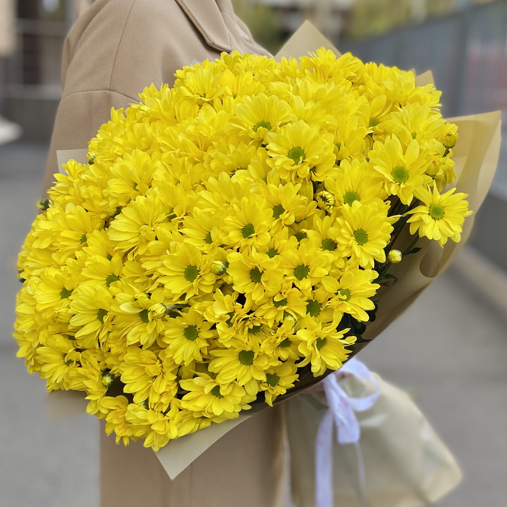 25 желтых кустовых хризантем Бакарди