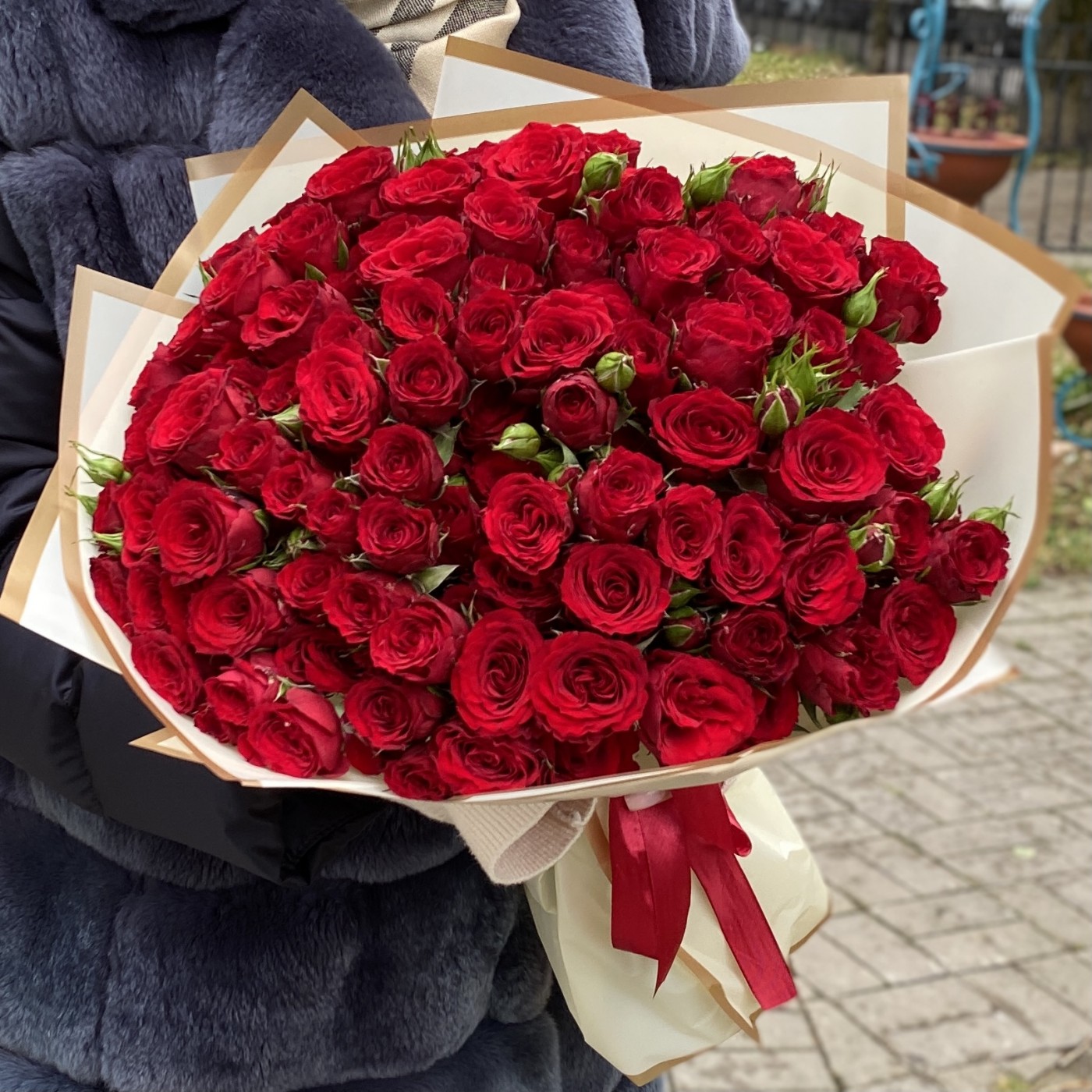 25 красных пионовидных роз Велвет Блоссом