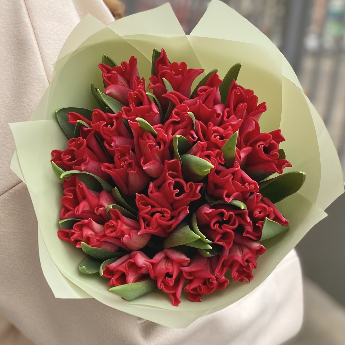 25 красных тюльпанов Ред дресс