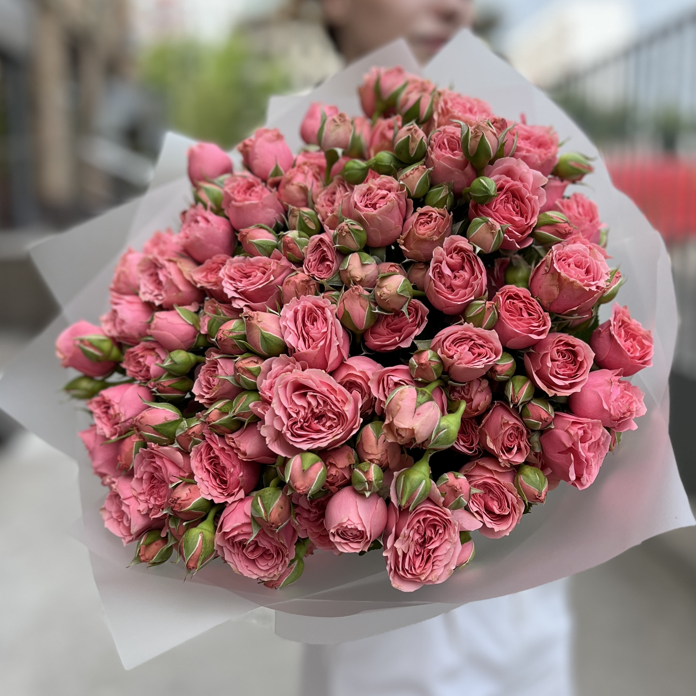 15 кустовых пионовидных роз Спешел Дайменшн 50см