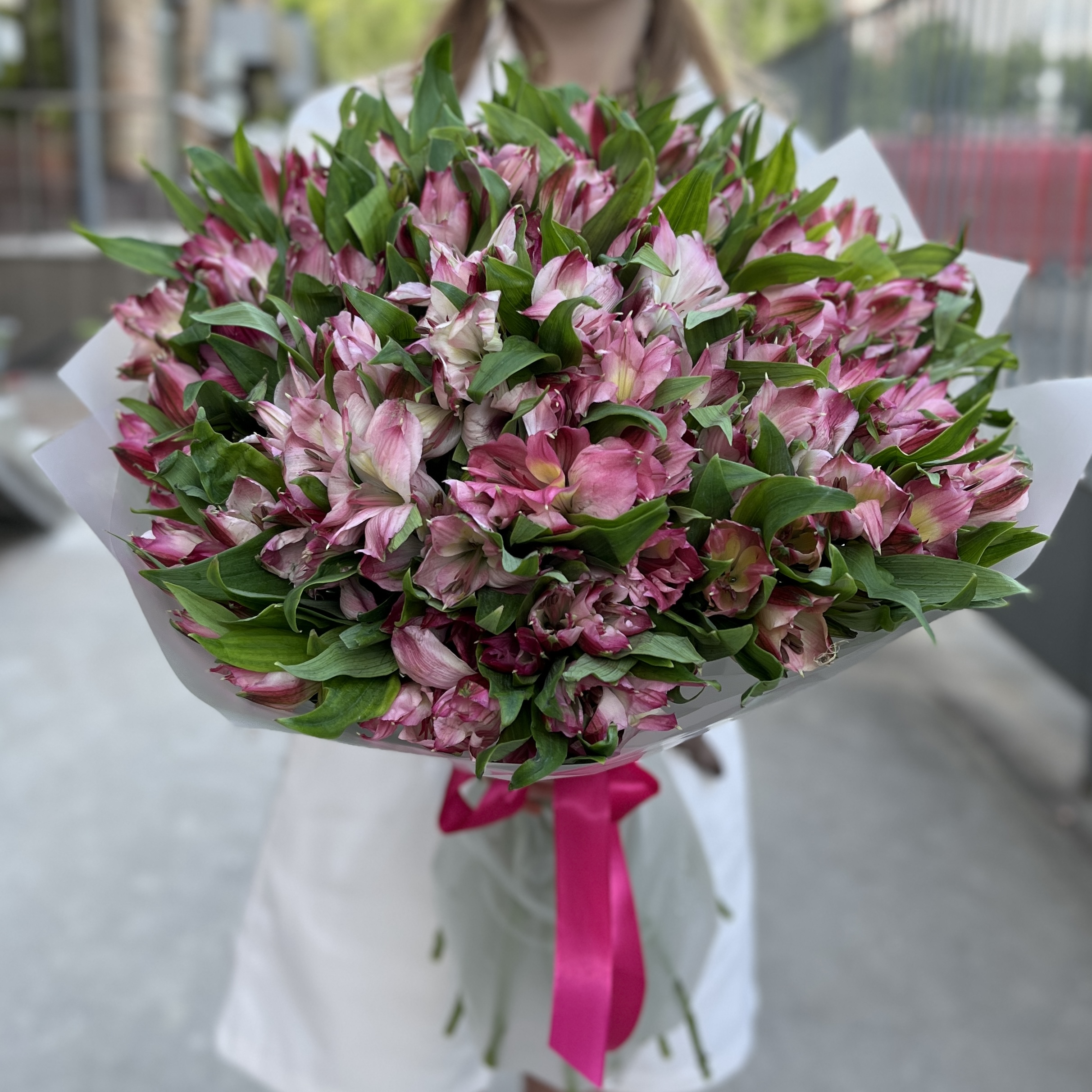 35 малиновых альстромерий