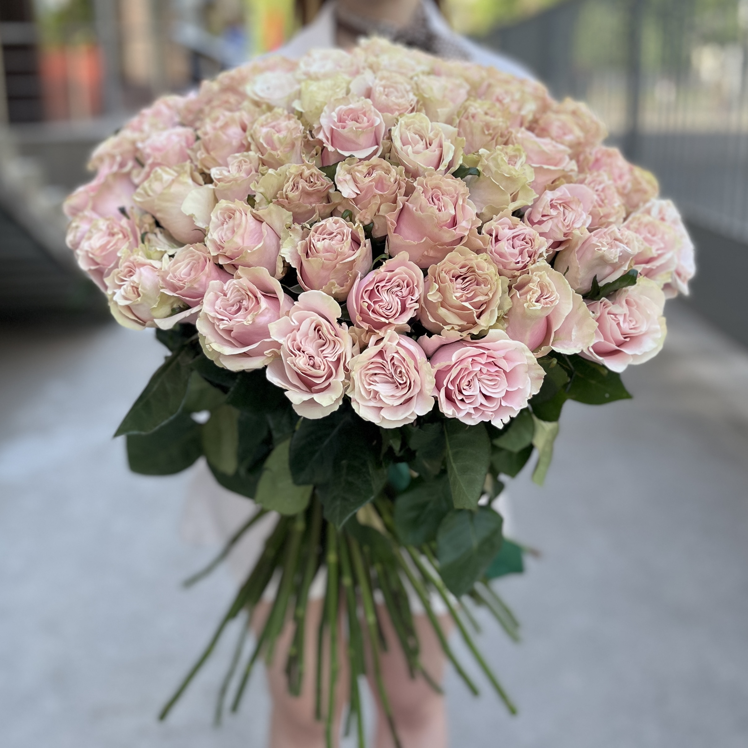 101 роза Пинк Мондиаль 70 см