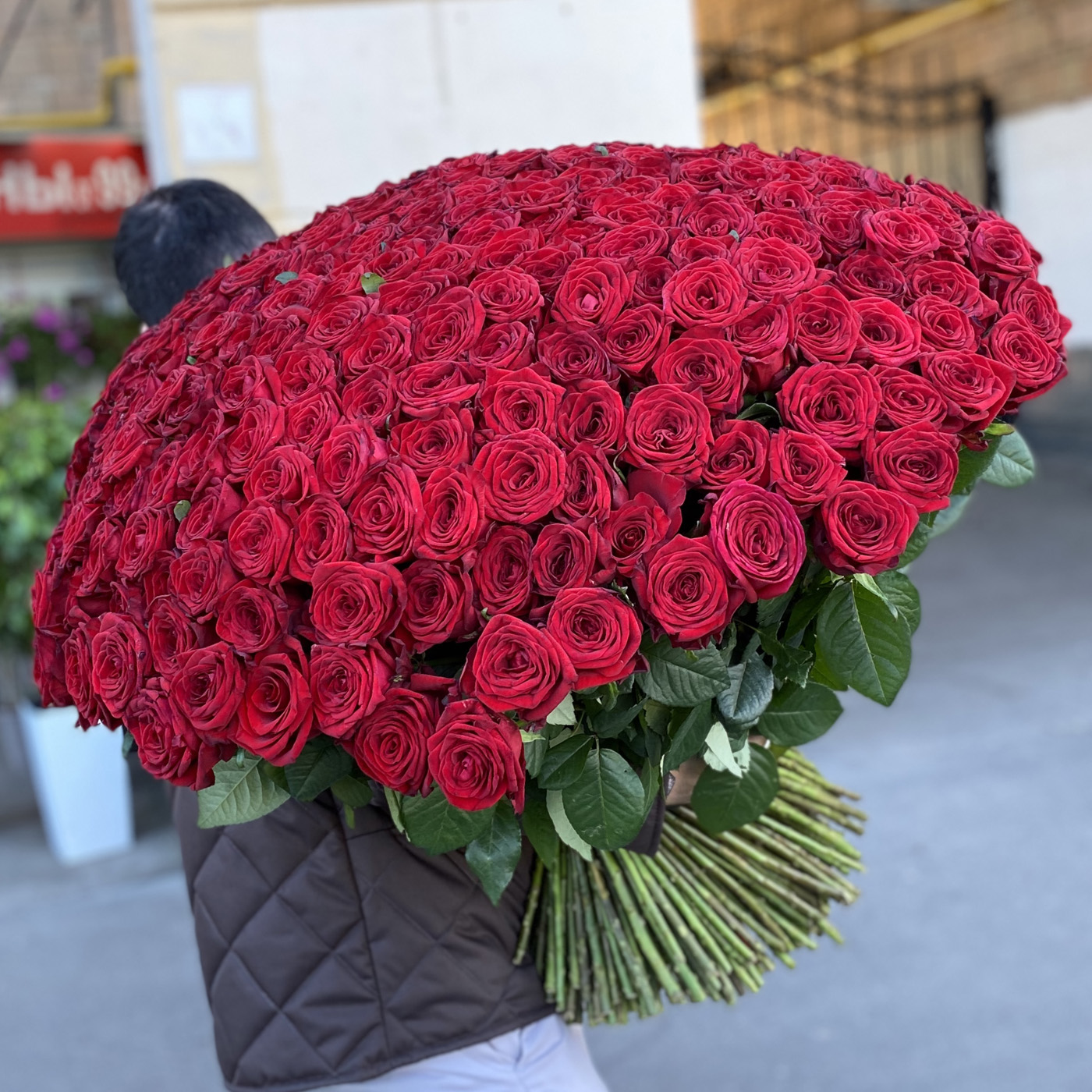 301 роза