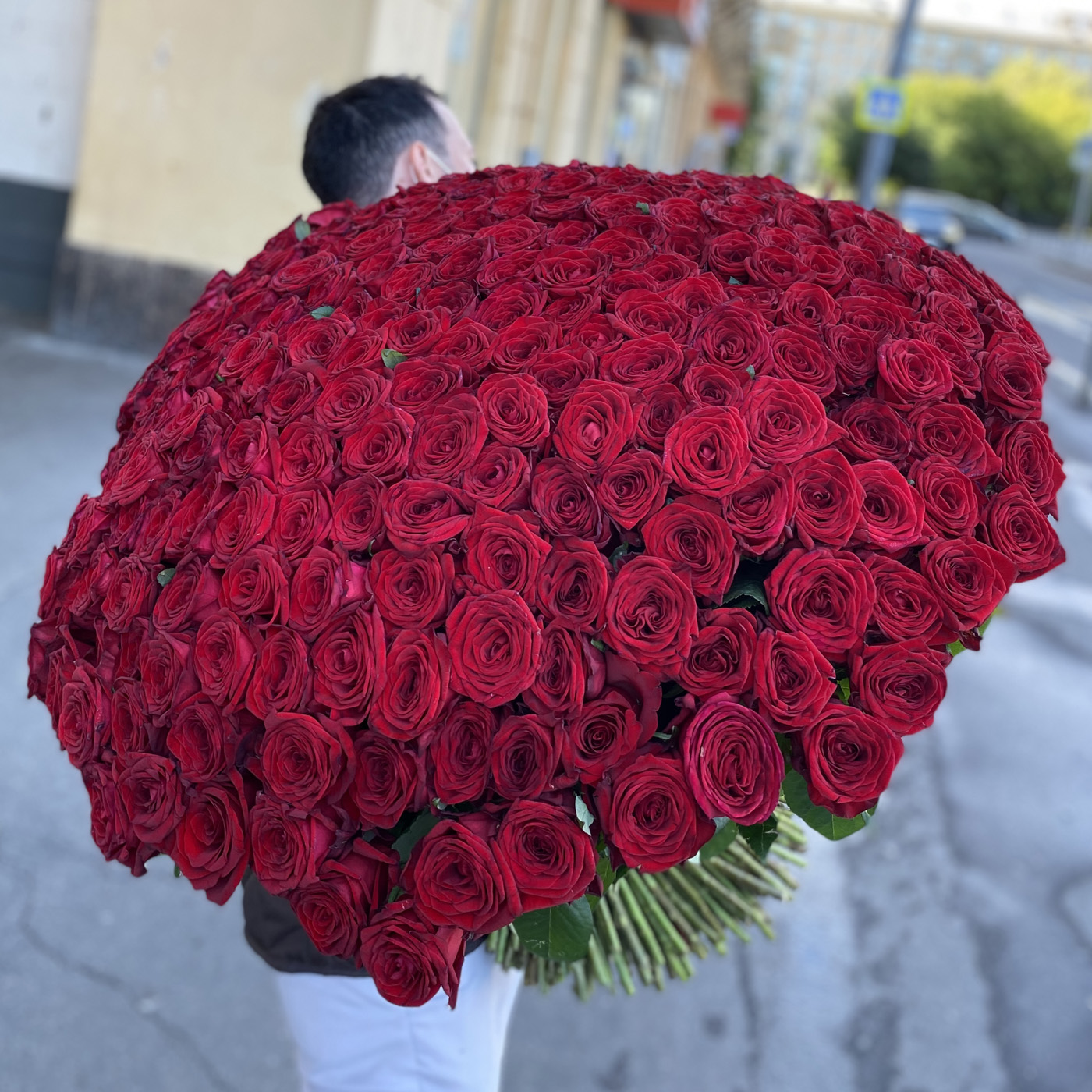 301 роза