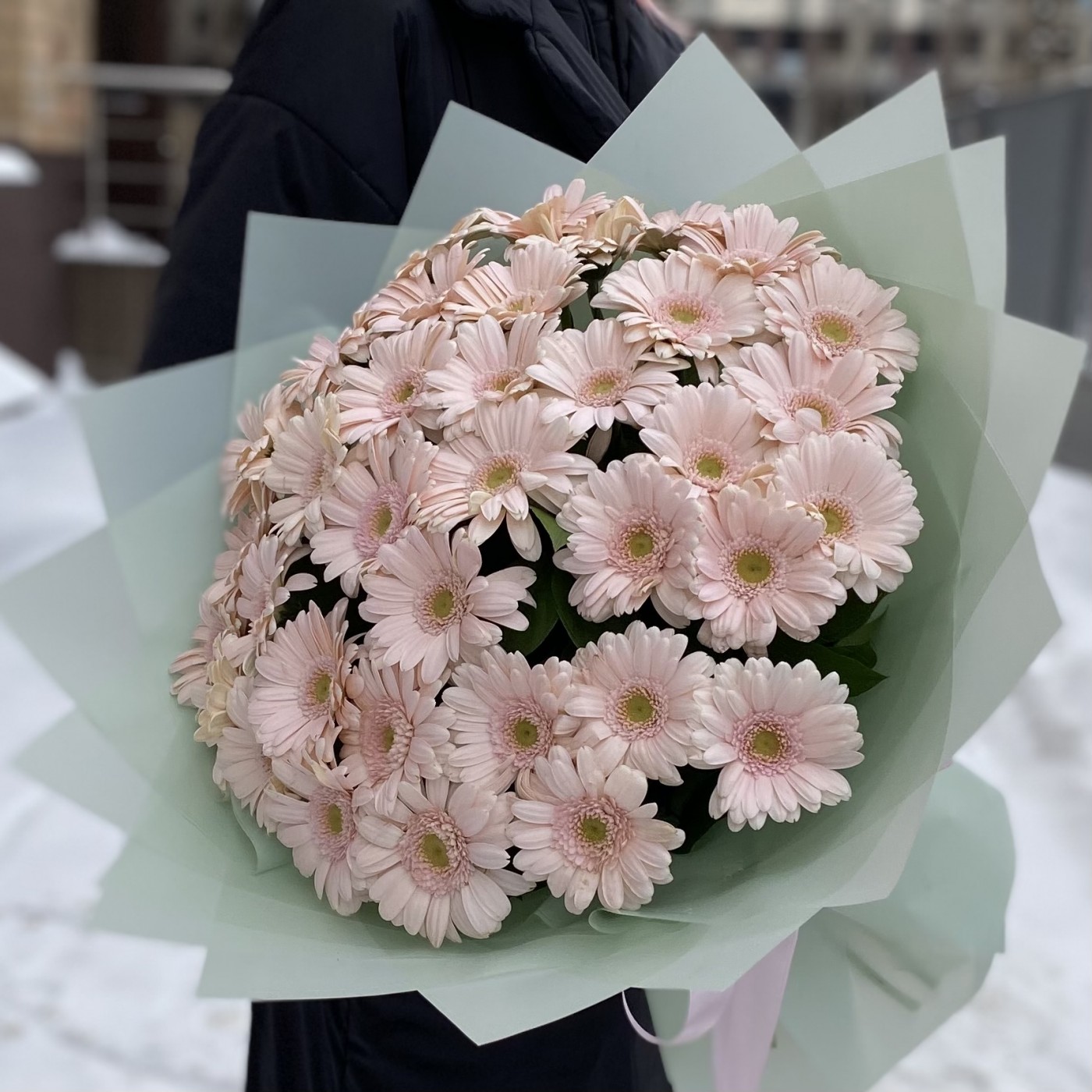37 нежно-розовых гербер