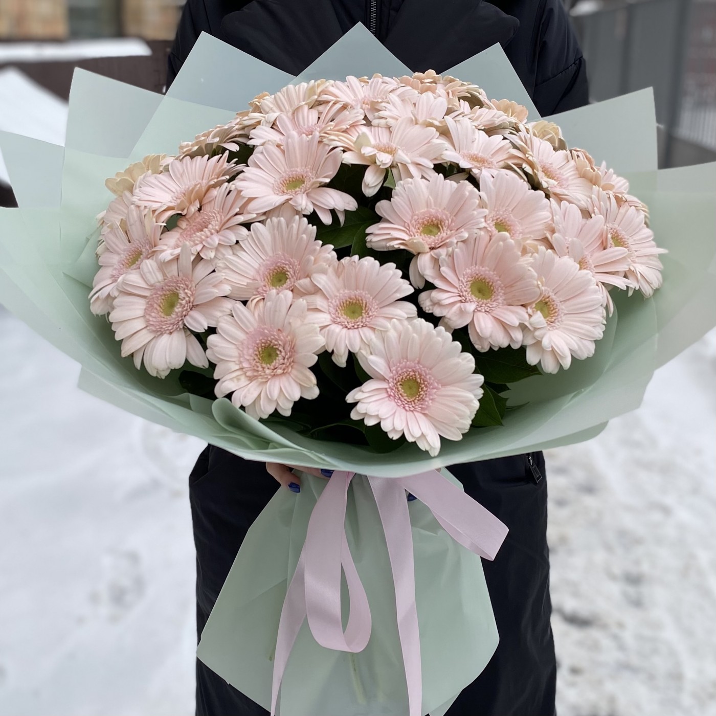 37 нежно-розовых гербер