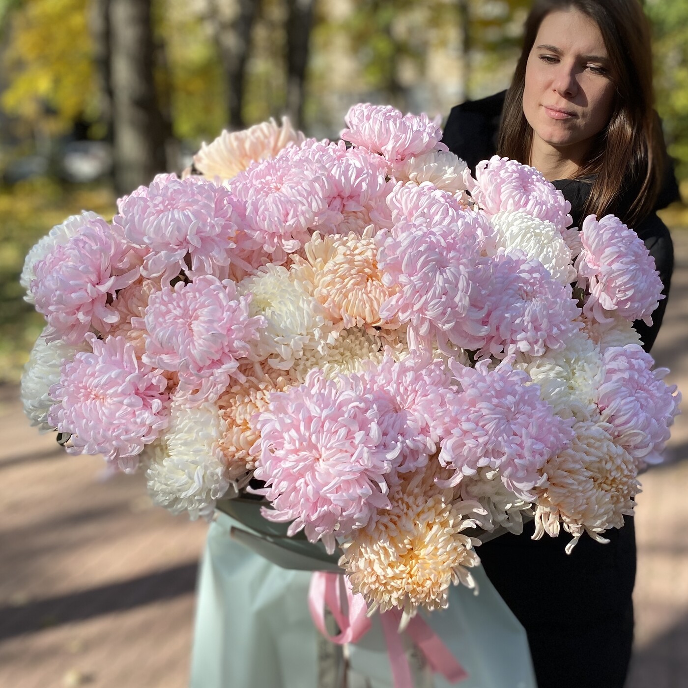 51 крымская хризантема