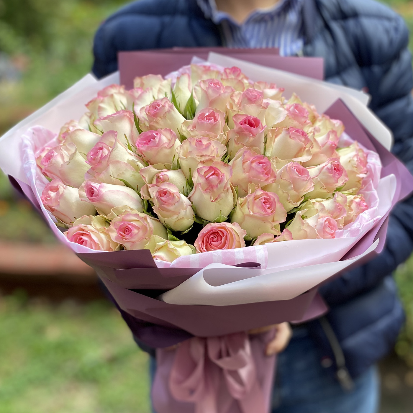 51 роза Бэби Лав