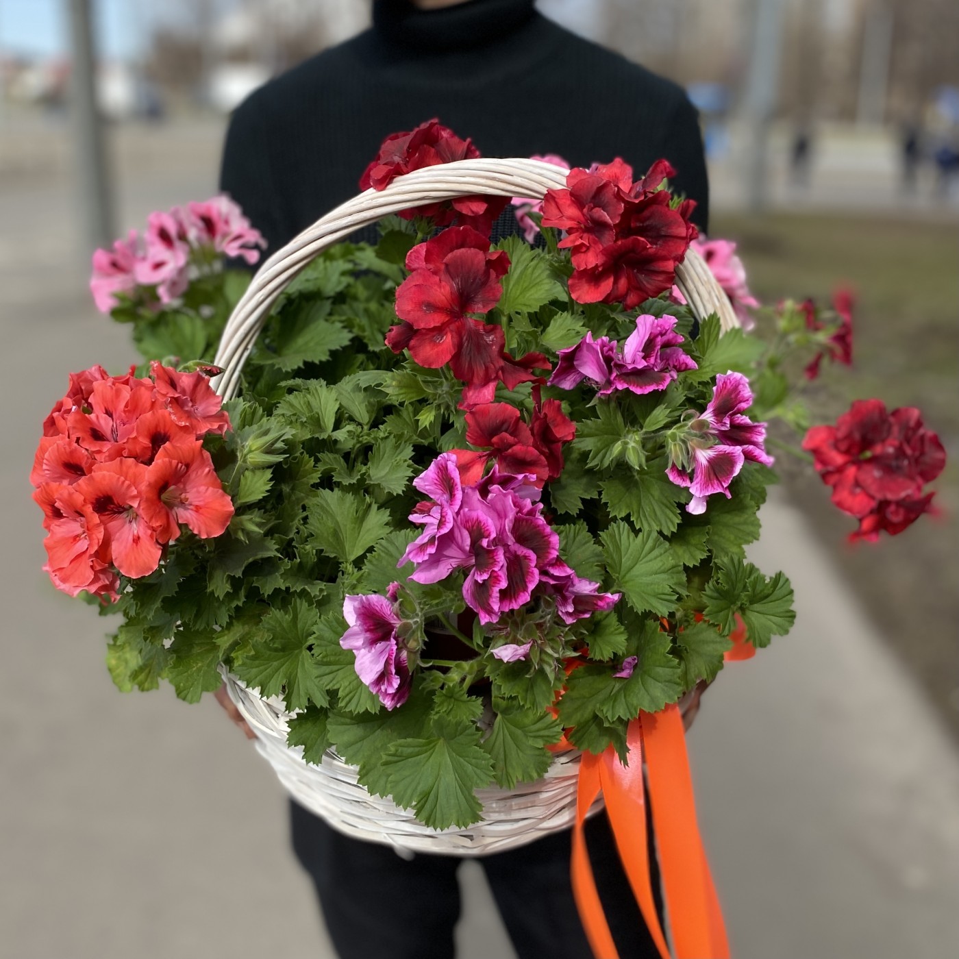 Подарочная корзина с Геранью