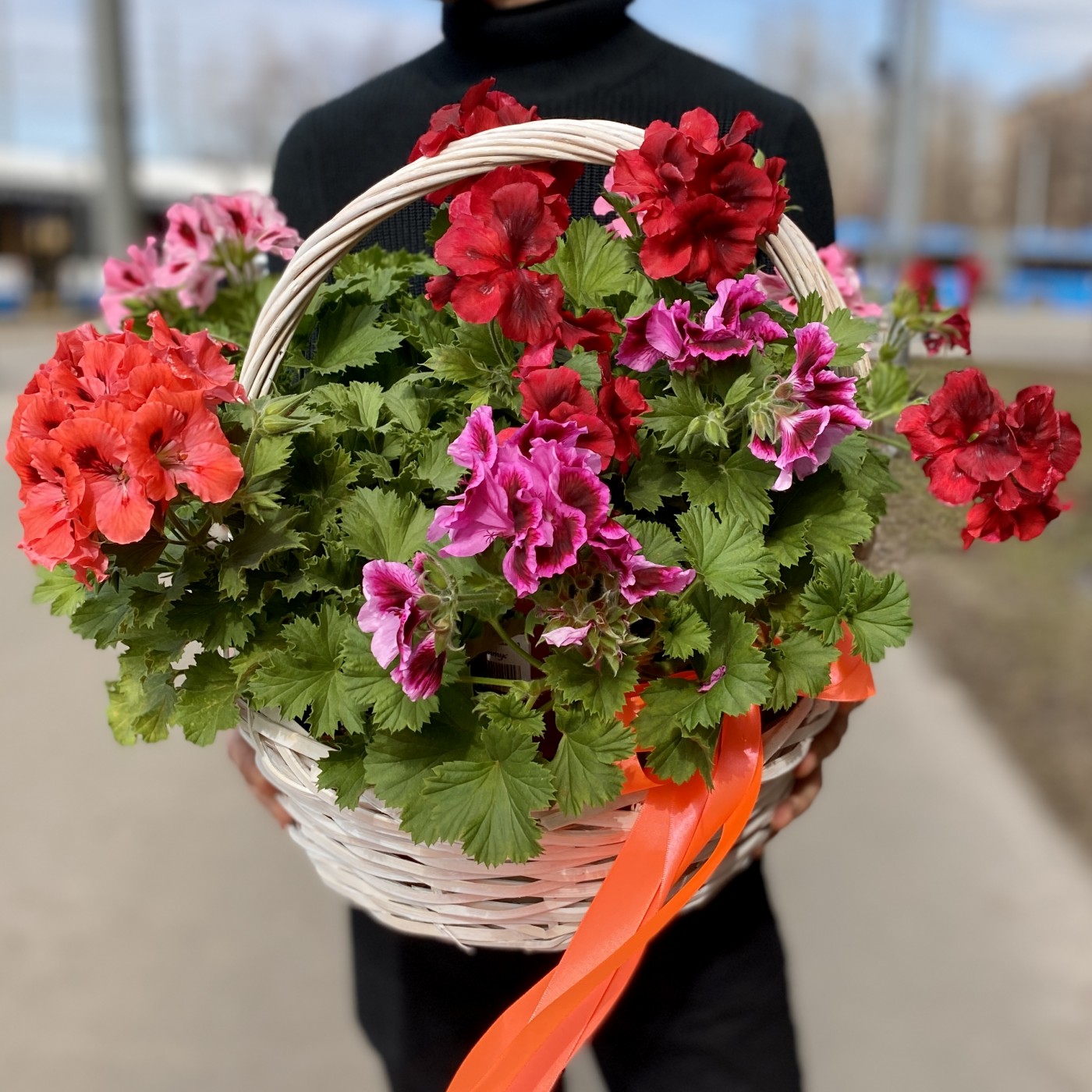 Подарочная корзина с Геранью