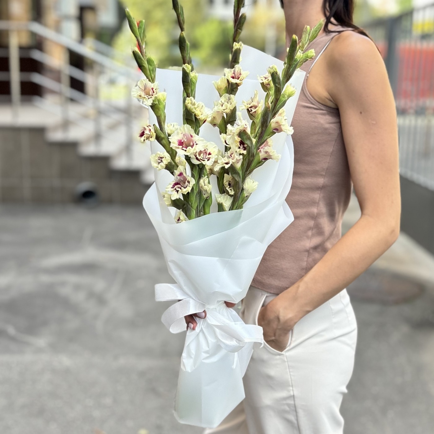 5 бело-фиолетовых гладиолусов