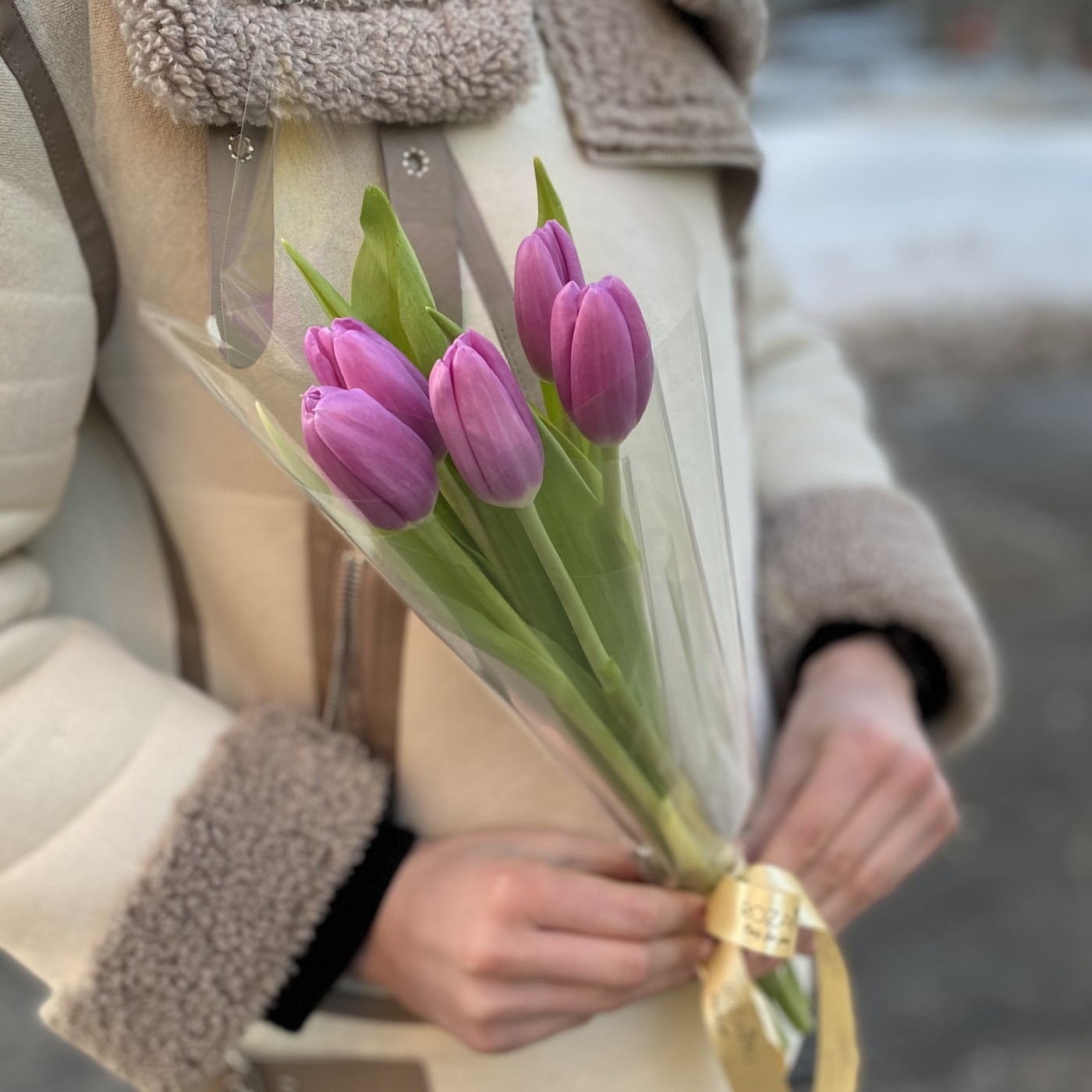 5 лиловых тюльпанов в пленке