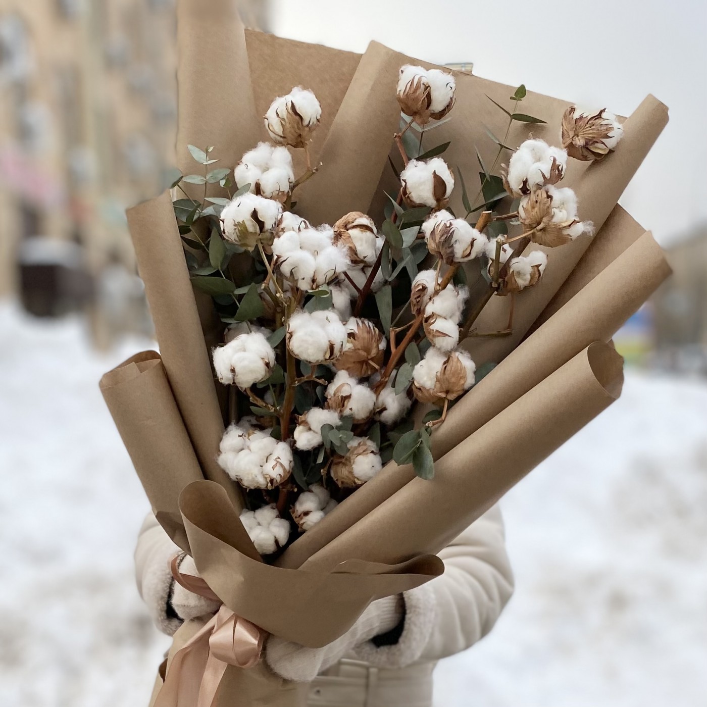 5 веток хлопка с эвкалиптом