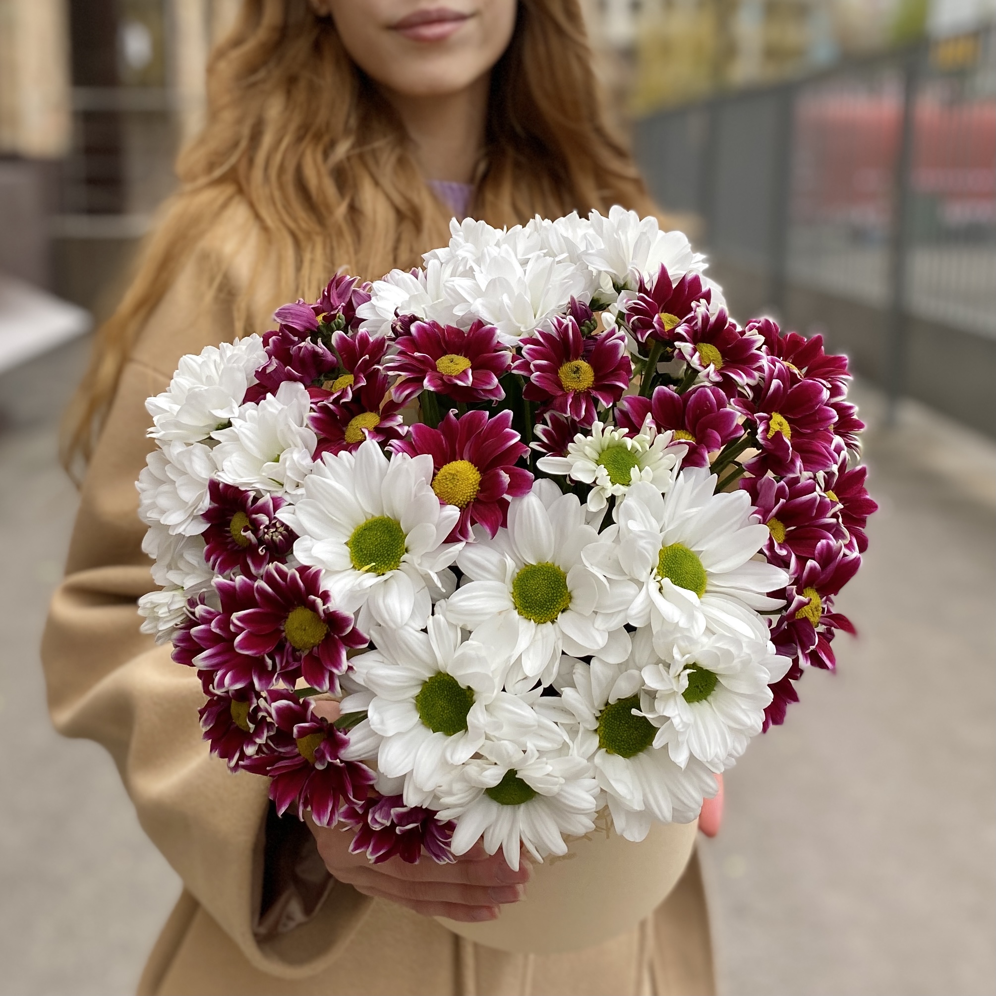 7 кустовых хризантем микс в коробке