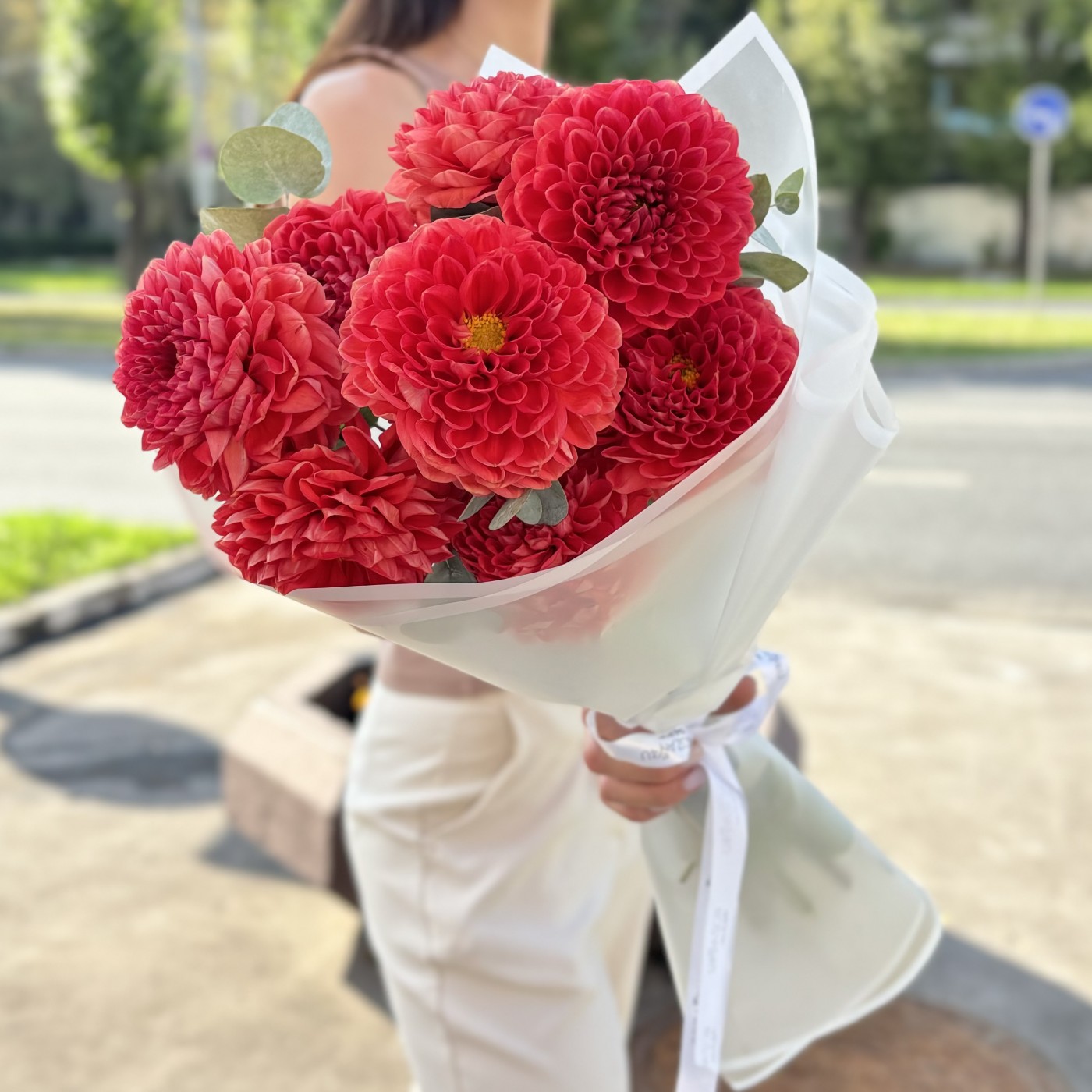 7 оранжевых георгин Помпон