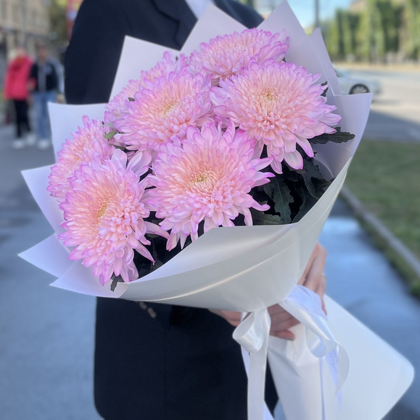 7 розовых хризантем Минка