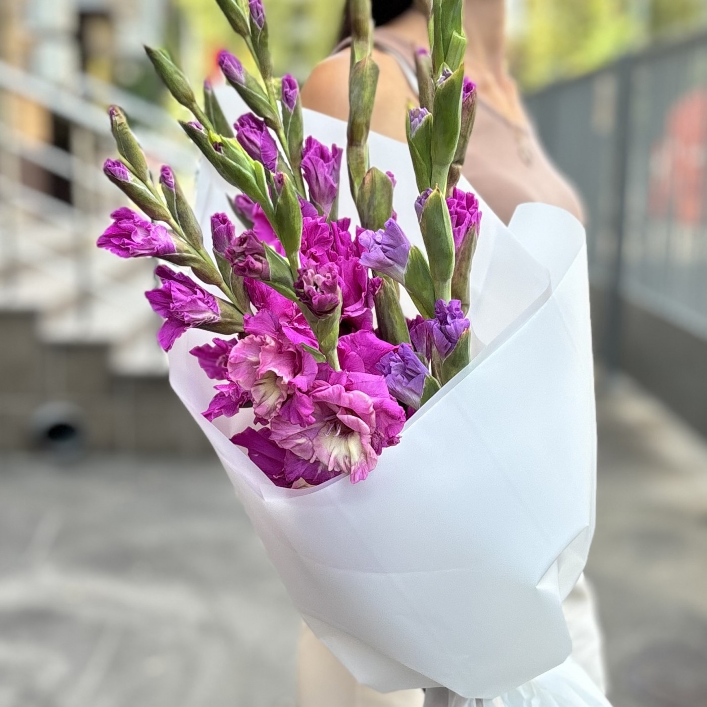 7 фиолетовых гладиолусов