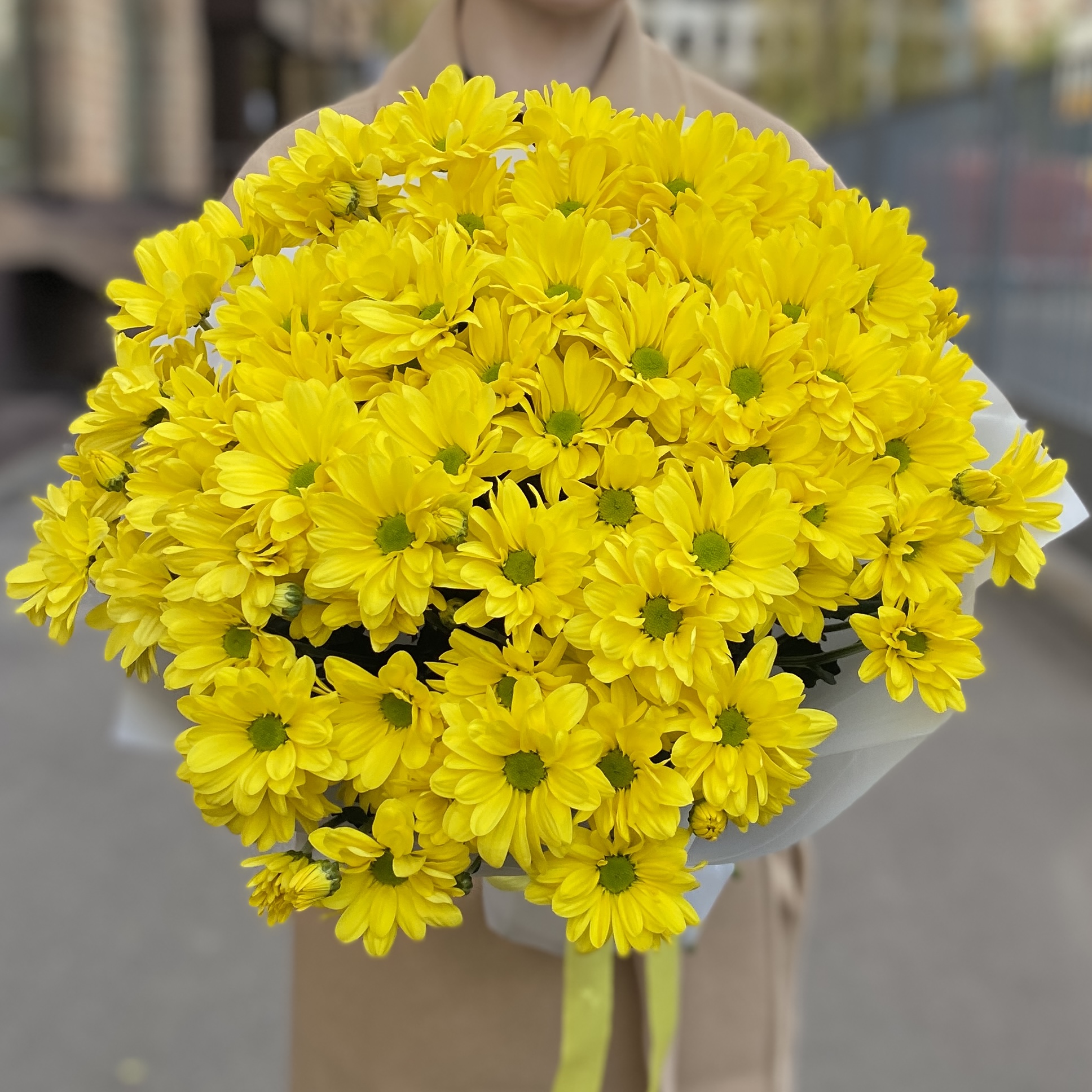 9 желтых кустовых хризантем Бакарди