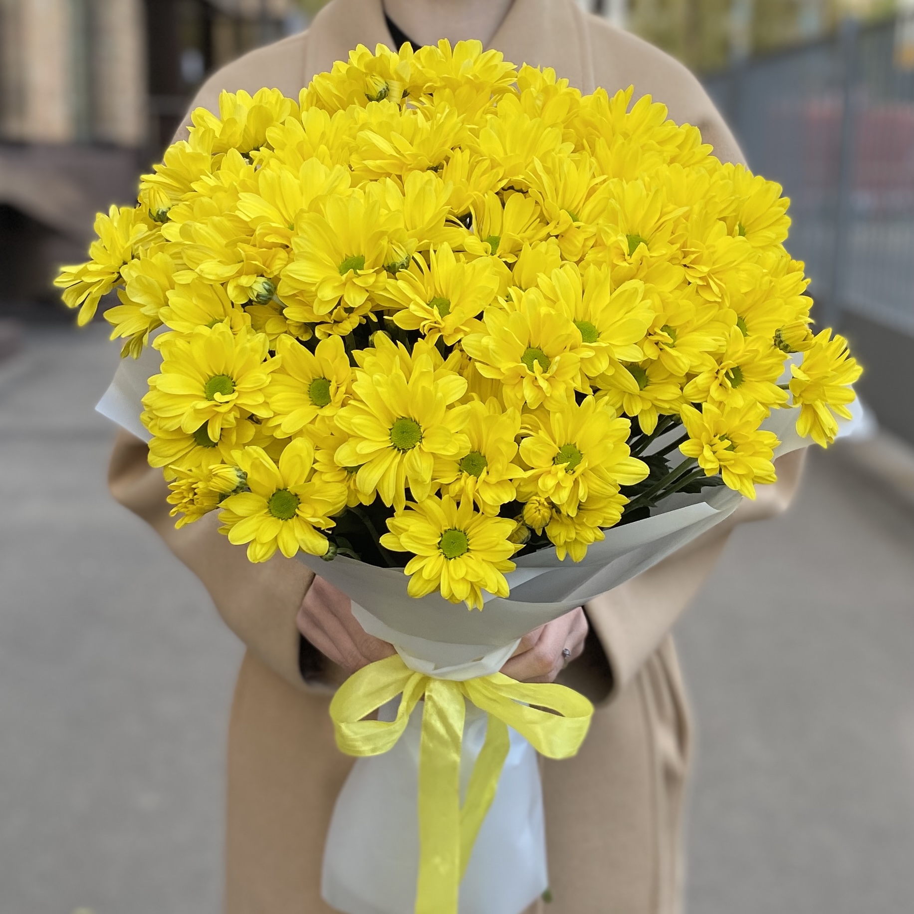 9 желтых кустовых хризантем Бакарди