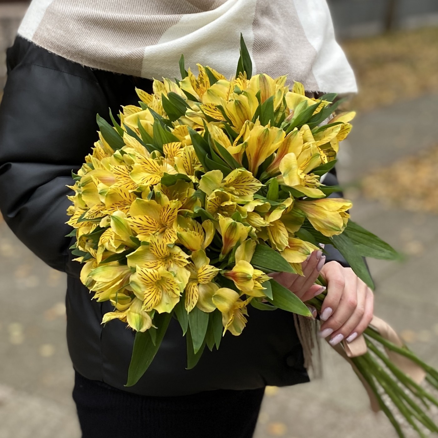 Альстромерия желтая
