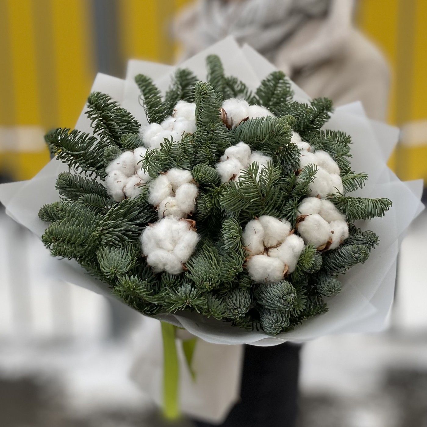 Букет белый хлопок с нобилисом