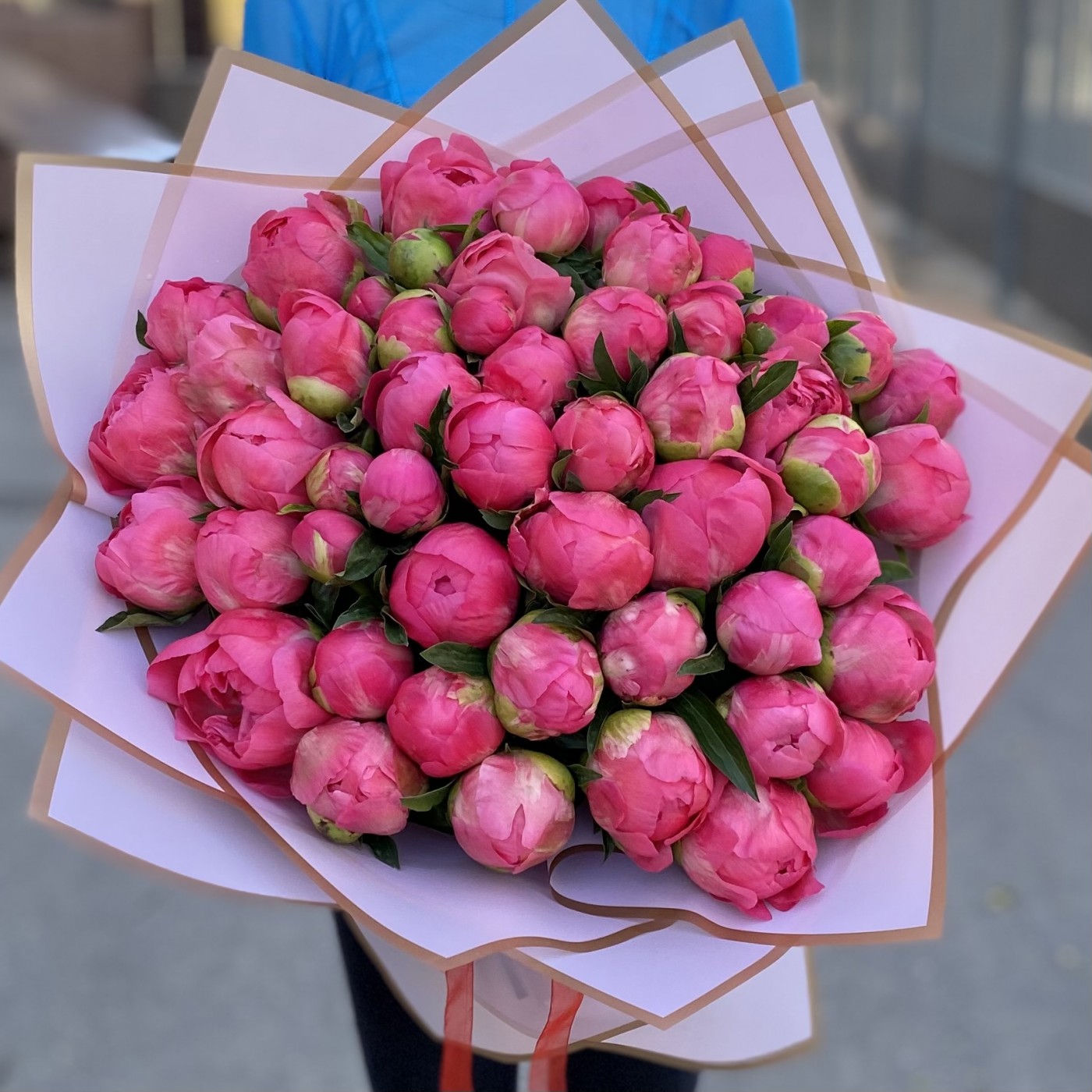 Букет из 51 кораллового пиона