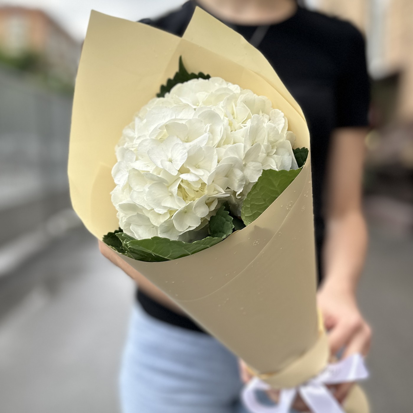 Букет с белой гортензией в упаковке