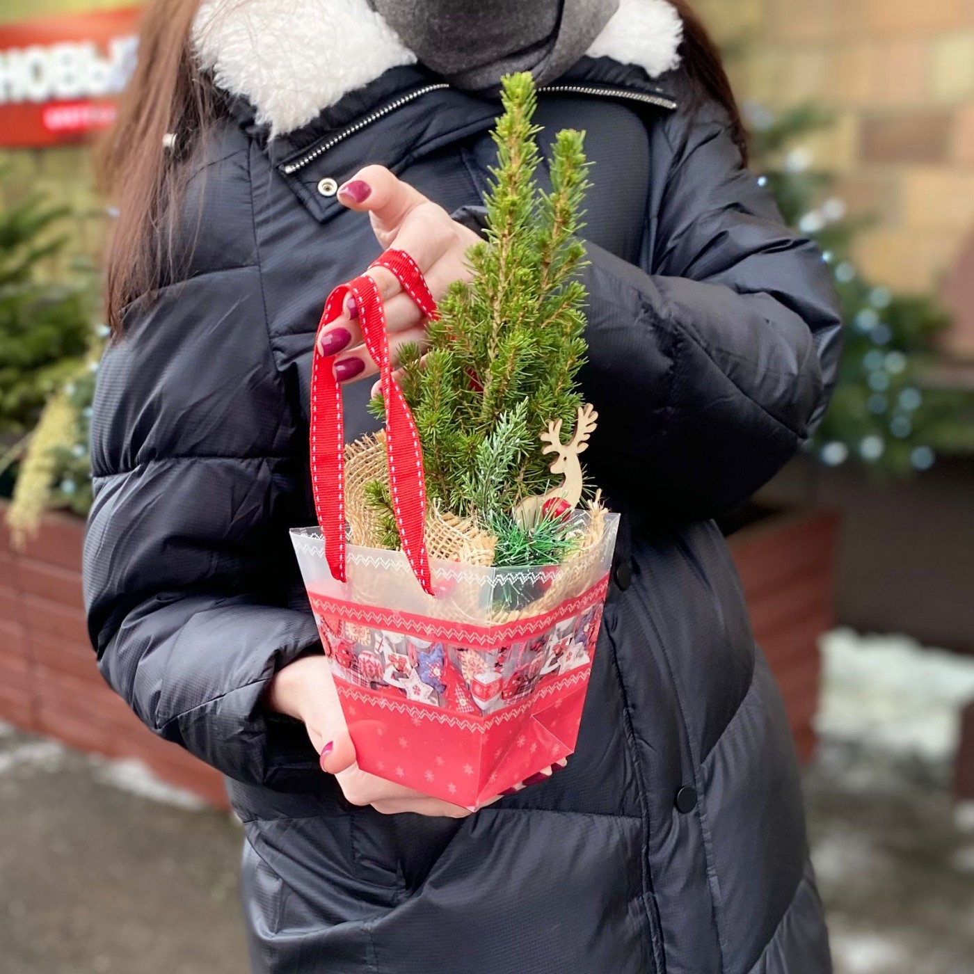 Ель Коника в сумочке