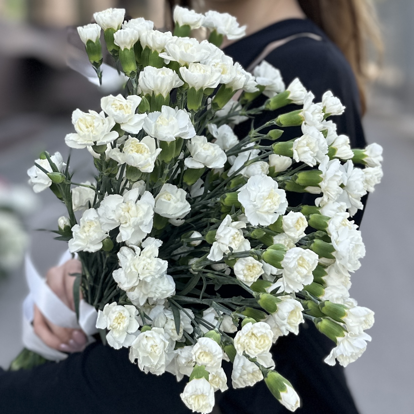 Гвоздика кустовая белая