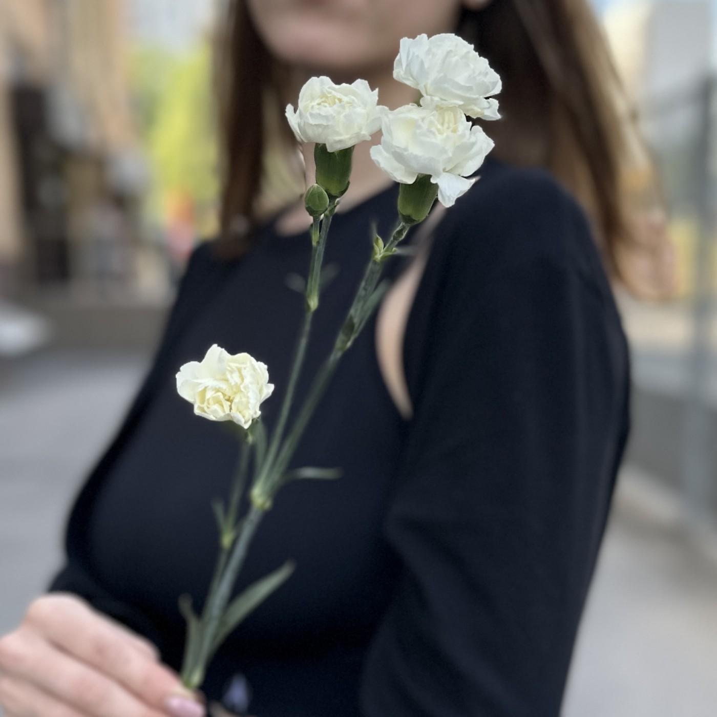 Гвоздика кустовая белая