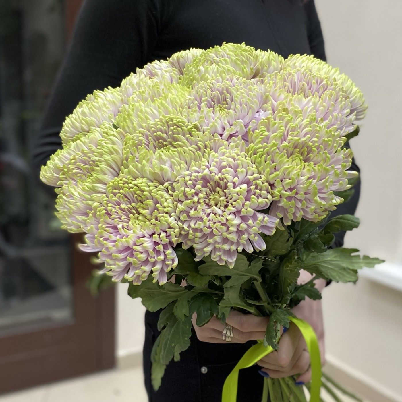 Хризантема Сиренево-зелёная Зембла